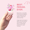 Bessy Menstrual Disc - Basic Kit