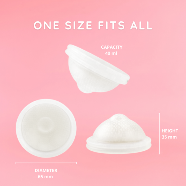 Bessy Menstrual Disc - Basic Kit
